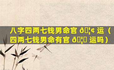 八字四两七钱男命官 🦢 运（四两七钱男命有官 🦋 运吗）